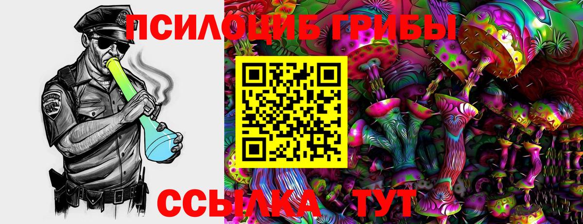 Галлюциногенные грибы Psilocybe Аша