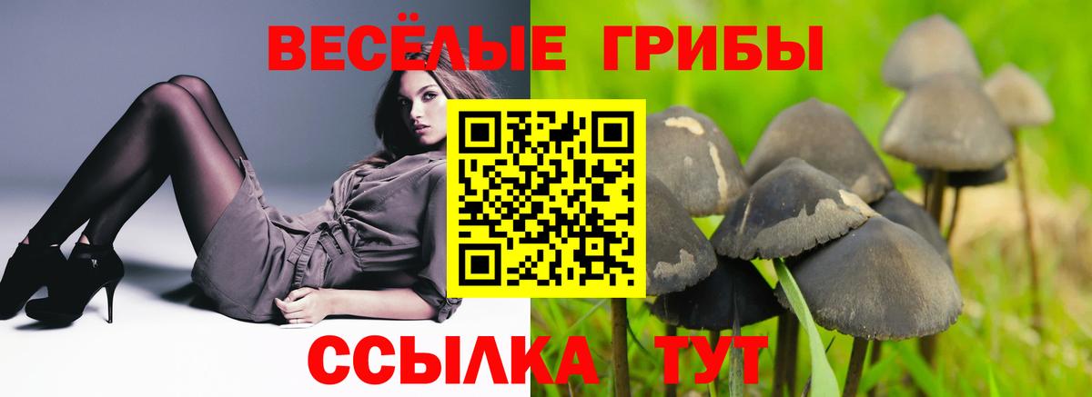 Аша  как найти закладки  Галлюциногенные грибы GOLDEN TEACHER  Вход с VPN  Псилоцибиновые грибы MAGIC MUSHROOMS 